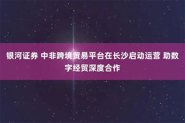 银河证券 中非跨境贸易平台在长沙启动运营 助数字经贸深度合作