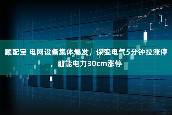 顺配宝 电网设备集体爆发,保变电气5分钟拉涨停,灿能电力30cm涨停