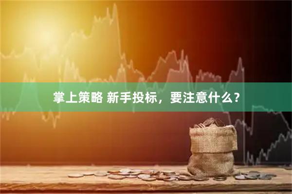 掌上策略 新手投标,要注意什么?